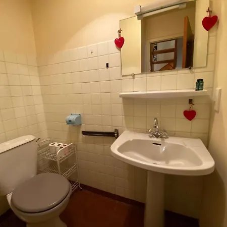 2 Pieces + Mezzanine, Centre Chinaillon, Balcon Sud, Parking Prive - Fr-1-241-190 Apartment